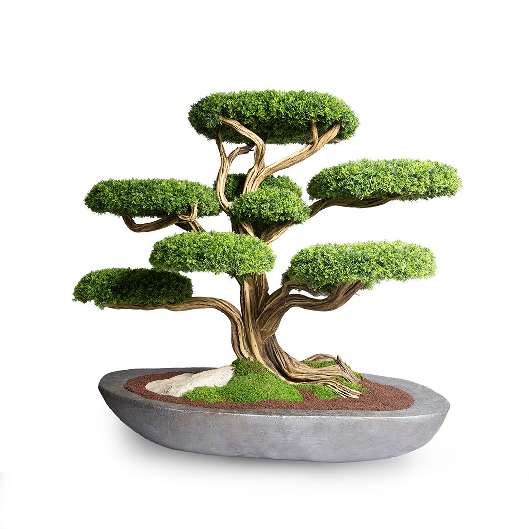 Topiary Thuja Tree-12