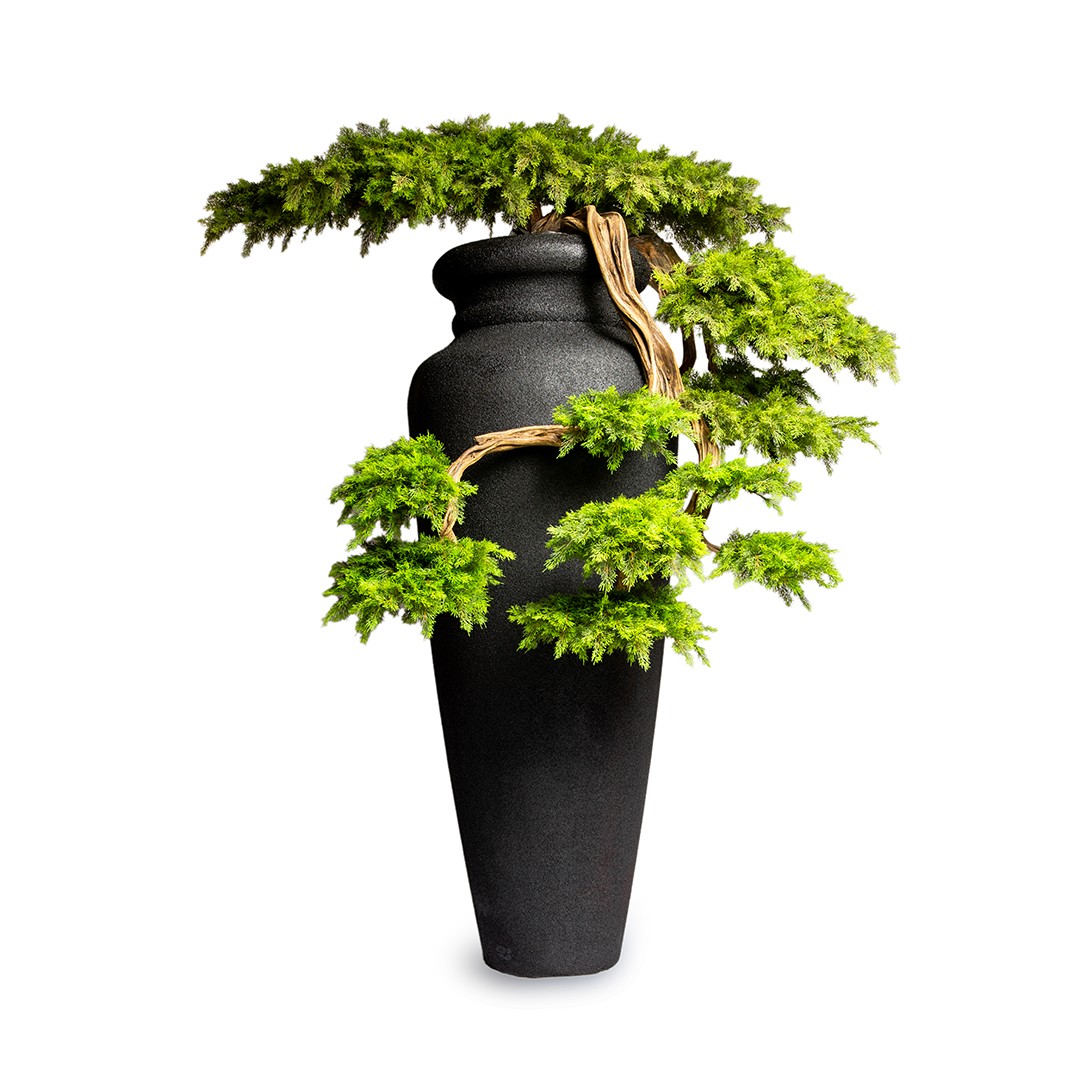 Special Vase Tree