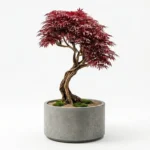 Botanical Signature-03 - Görsel 2