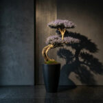 Lavanta Bonsai-01 - Görsel 4