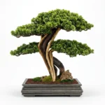 Mini Topiary Bonsai-01