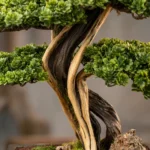 Mini Topiary Bonsai-01 - Görsel 2