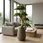 Thuja Bonsai-02 - Görsel 2
