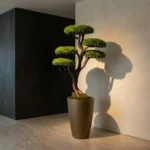 Topiary Bonsai-01 - Görsel 3
