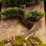 Mini Tablo Bonsai-08 - Görsel 3