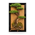 Mini Tablo Bonsai-10