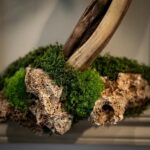 Mini Tablo Bonsai-16 - Görsel 2
