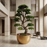 Büyük Thuja Bonsai-02 - Görsel 2