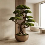 Büyük Thuja Bonsai-03 - Görsel 2