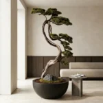 Büyük Thuja Bonsai-04