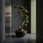 Büyük Thuja Bonsai-04 - Görsel 2