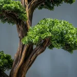 Thuja Bonsai-17 - Görsel 3
