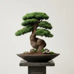 Mini Bonsai-02 - Görsel 4