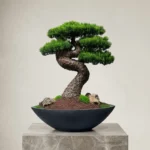 Mini Bonsai-04