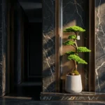 Thuja Bonsai-001 - Görsel 3