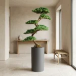 Thuja Bonsai-002