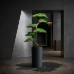 Thuja Bonsai-002 - Görsel 3