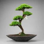 Kayık Saksı Thuja-004