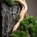 Mini Tablo Bonsai-17 - Görsel 3