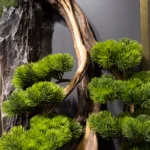 Mini Tablo Bonsai-19 - Görsel 3