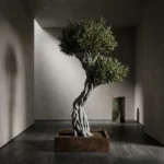 Signature olivetree-01 - Görsel 5